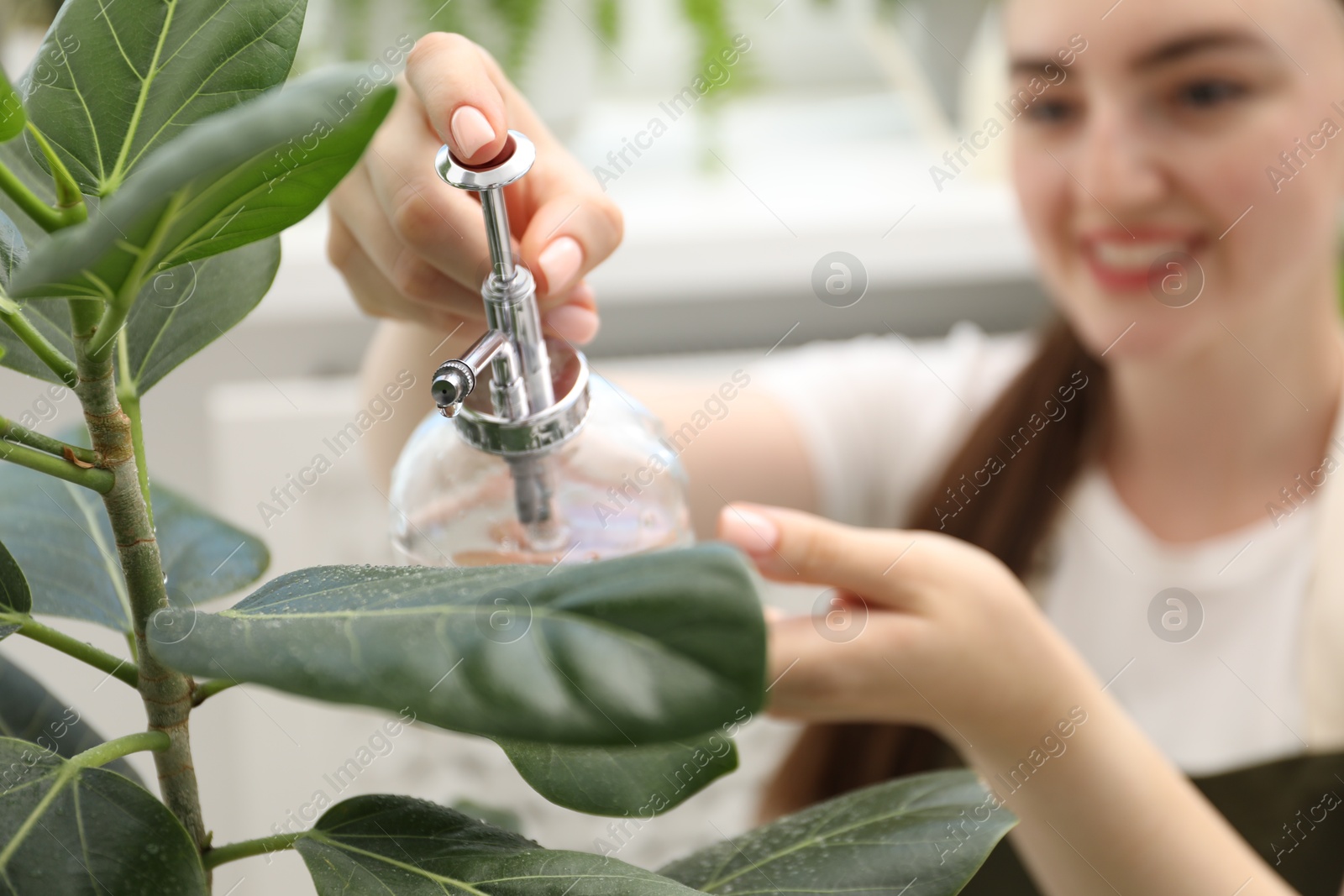 Photo of Young woman spraying beautiful houseplant with water from bottle indoors, selective focus