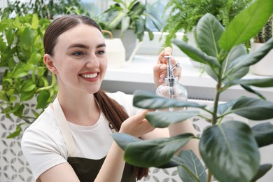 Photo of Young woman spraying beautiful houseplant with water from bottle indoors