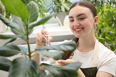 Photo of Young woman spraying beautiful houseplant with water from bottle indoors