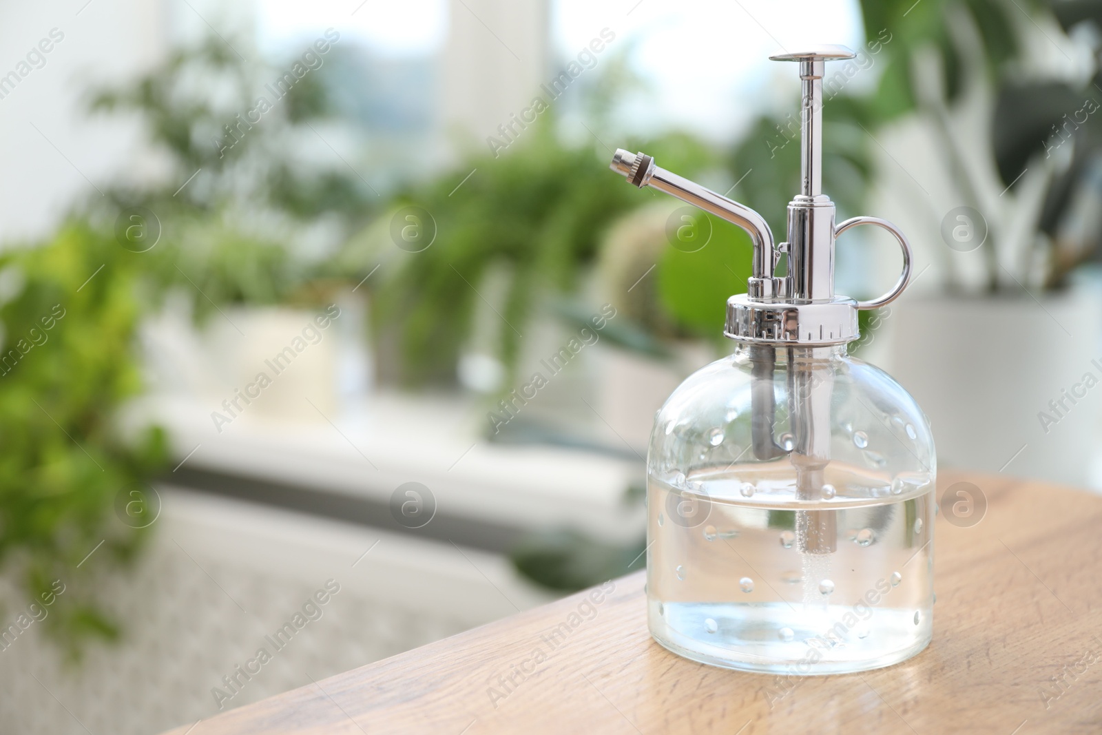 Photo of Houseplant care. Spray bottle on wooden table indoors, closeup. Space for text