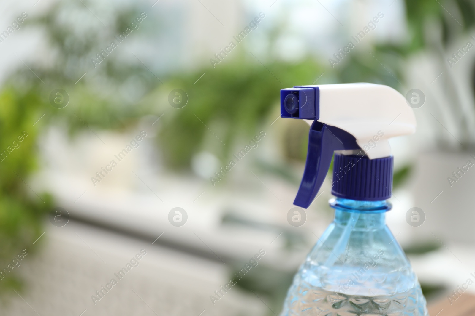 Photo of Houseplant care. Plastic spray bottle indoors, closeup. Space for text