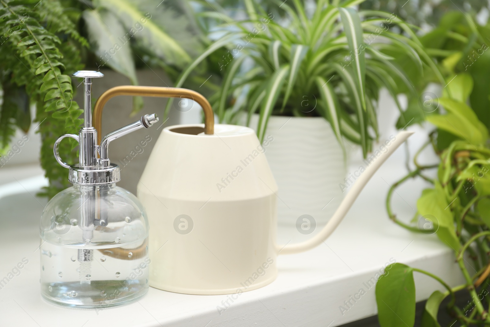 Photo of Spray bottle, water can and different houseplants on windowsill indoors, closeup