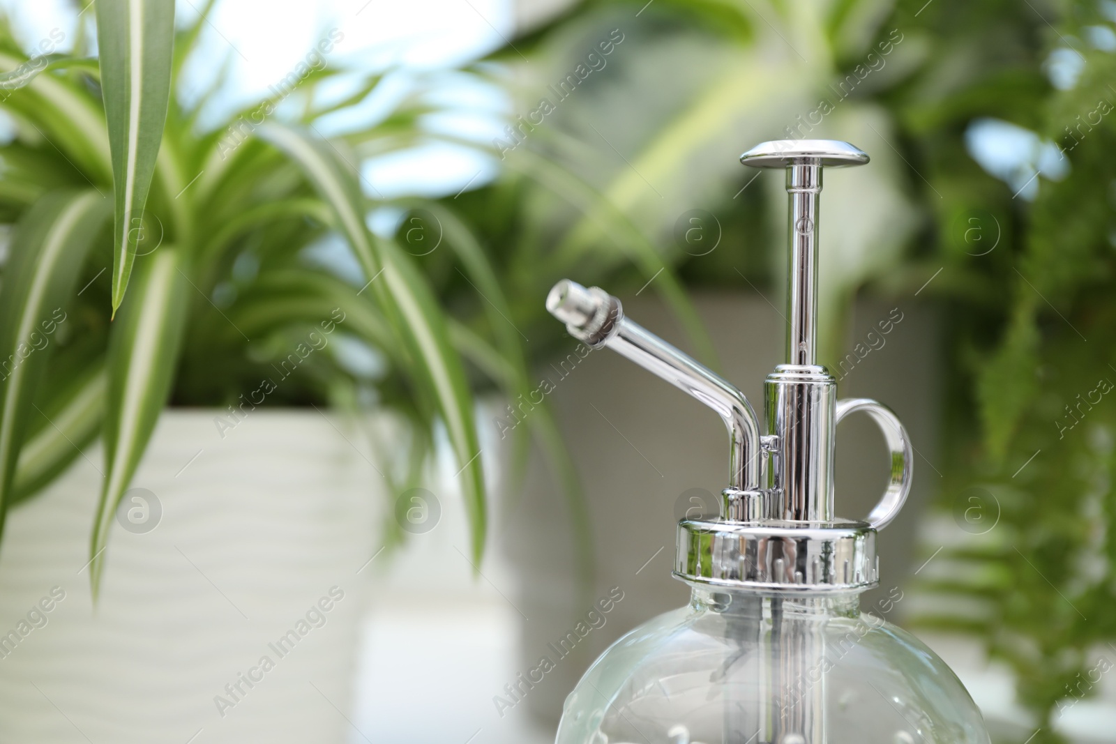 Photo of Spray bottle and different houseplants on windowsill indoors, closeup. Space for text
