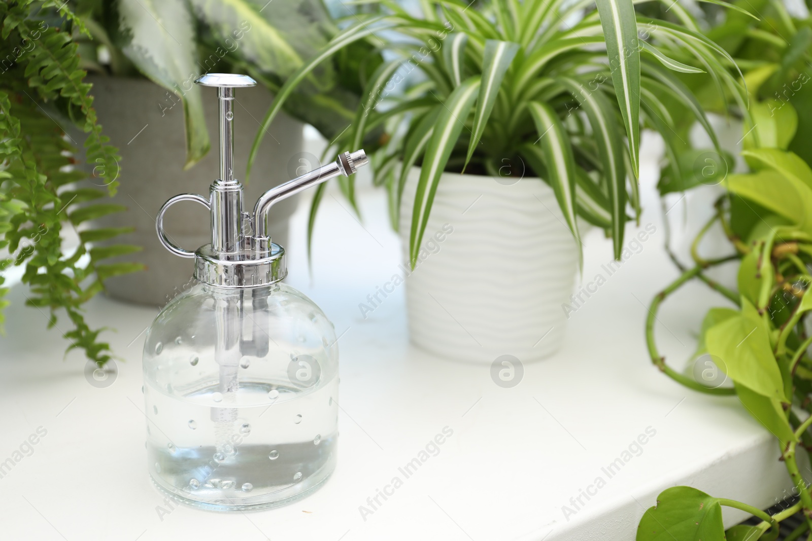Photo of Spray bottle and different houseplants on windowsill indoors, closeup. Space for text