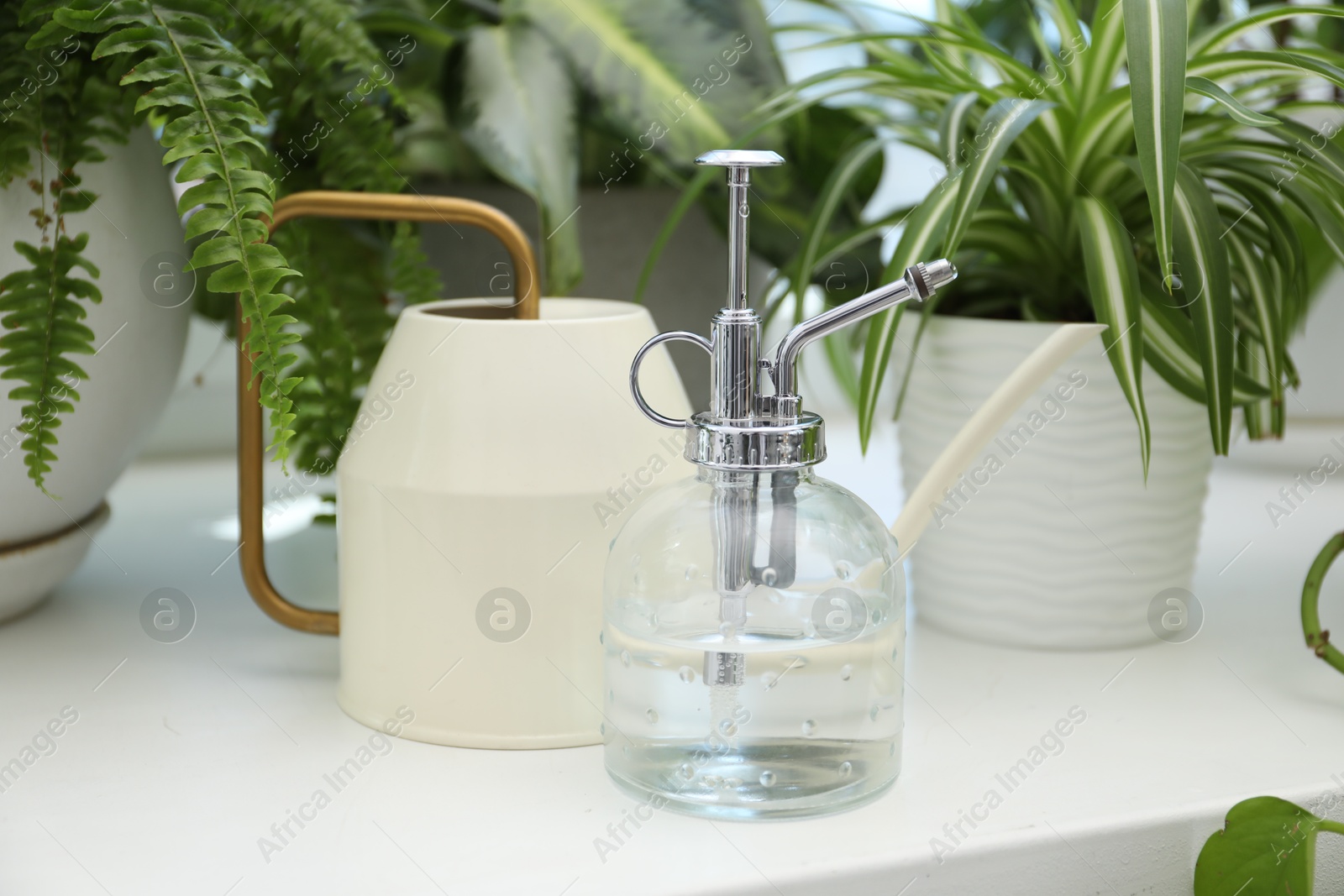 Photo of Spray bottle, water can and different houseplants on windowsill indoors, closeup