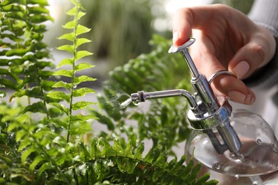 Photo of Young woman spraying beautiful houseplant with water from bottle indoors, closeup