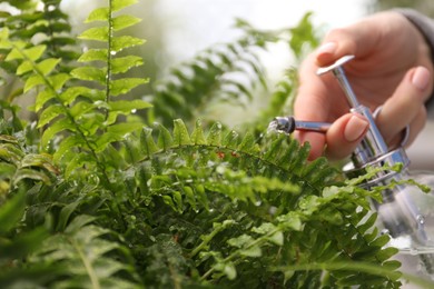 Photo of Young woman spraying beautiful houseplant with water from bottle indoors, closeup