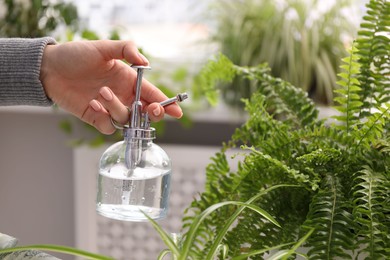 Photo of Young woman spraying beautiful houseplant with water from bottle indoors, closeup