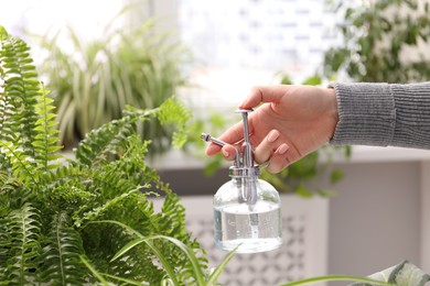Photo of Young woman spraying beautiful houseplant with water from bottle indoors, closeup