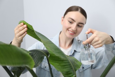 Photo of Young woman spraying beautiful houseplant with water from bottle indoors