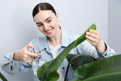 Photo of Young woman spraying beautiful houseplant with water from bottle indoors