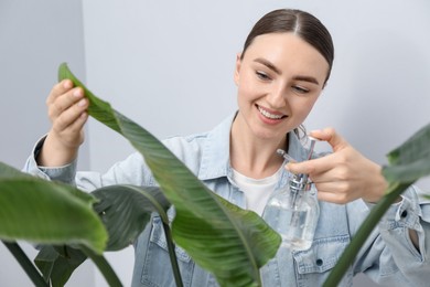 Photo of Young woman spraying beautiful houseplant with water from bottle indoors