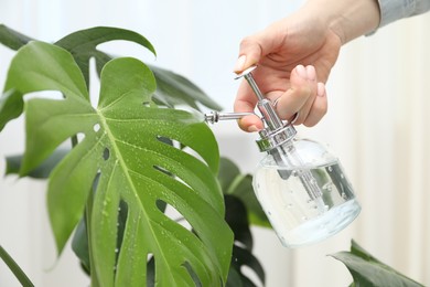 Photo of Young woman spraying beautiful houseplant with water from bottle indoors, closeup