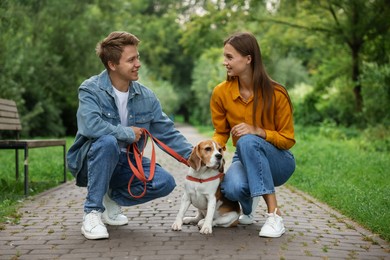 Photo of Couple spending time with adorable Beagle dog in park