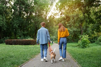 Photo of Couple walking with adorable Beagle dog in park, back view