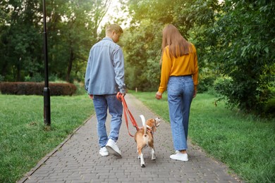 Photo of Couple walking with adorable Beagle dog in park, back view