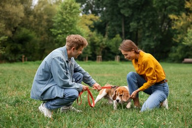 Photo of Couple spending time with adorable Beagle dog outdoors
