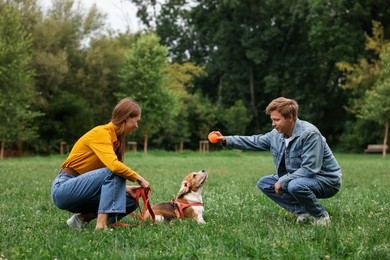 Photo of Couple spending time with adorable Beagle dog outdoors