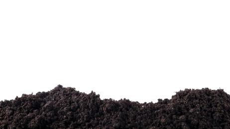 Photo of Pile of fresh soil isolated on white