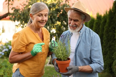 Photo of Happy senior couple in gloves with potted plant in garden