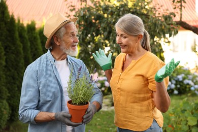 Photo of Happy senior couple in gloves with potted plant in garden