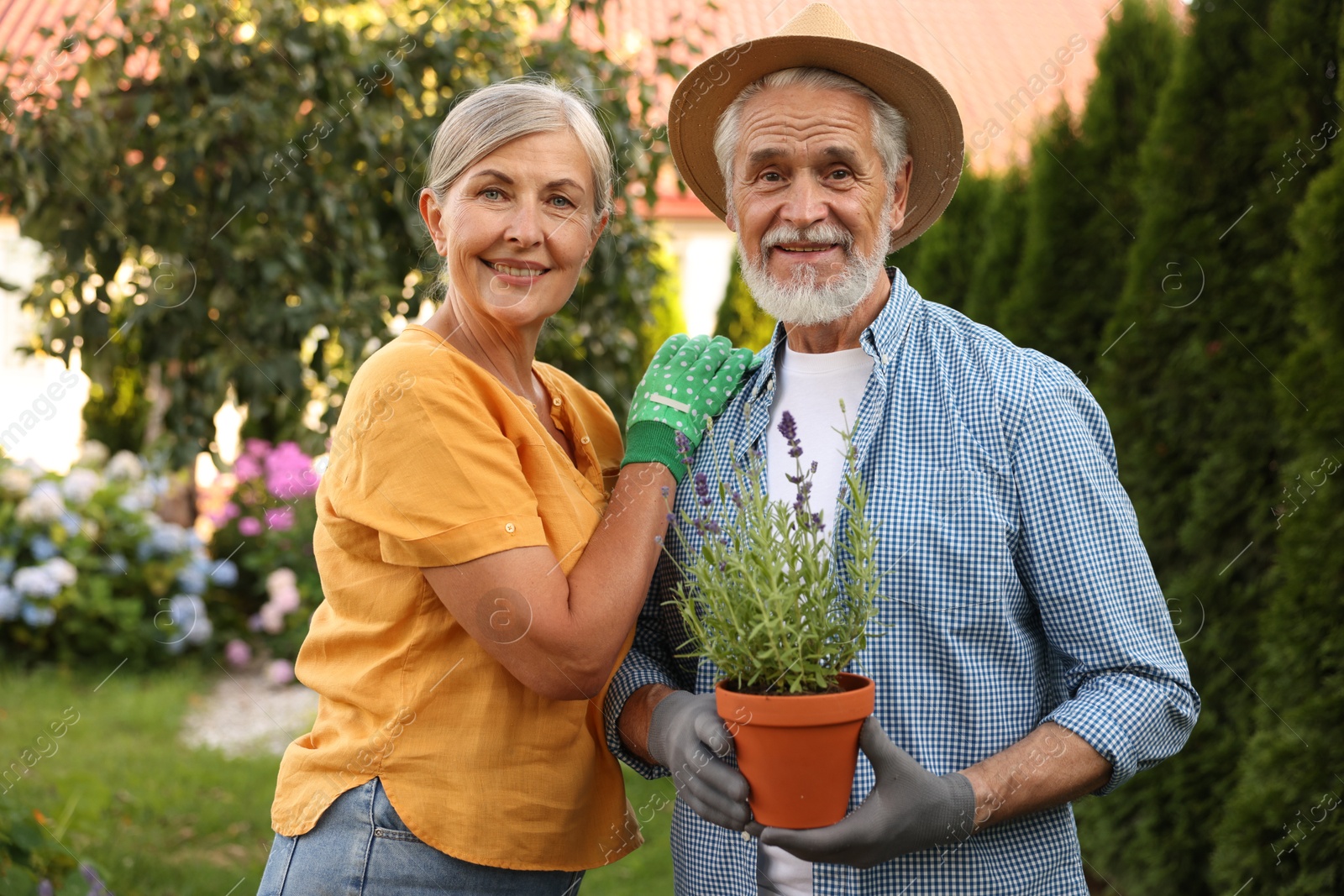 Portrait of happy senior couple in gloves with potted plant in garden Photo of Portrait of happy senior couple in gloves with potted plant in garden