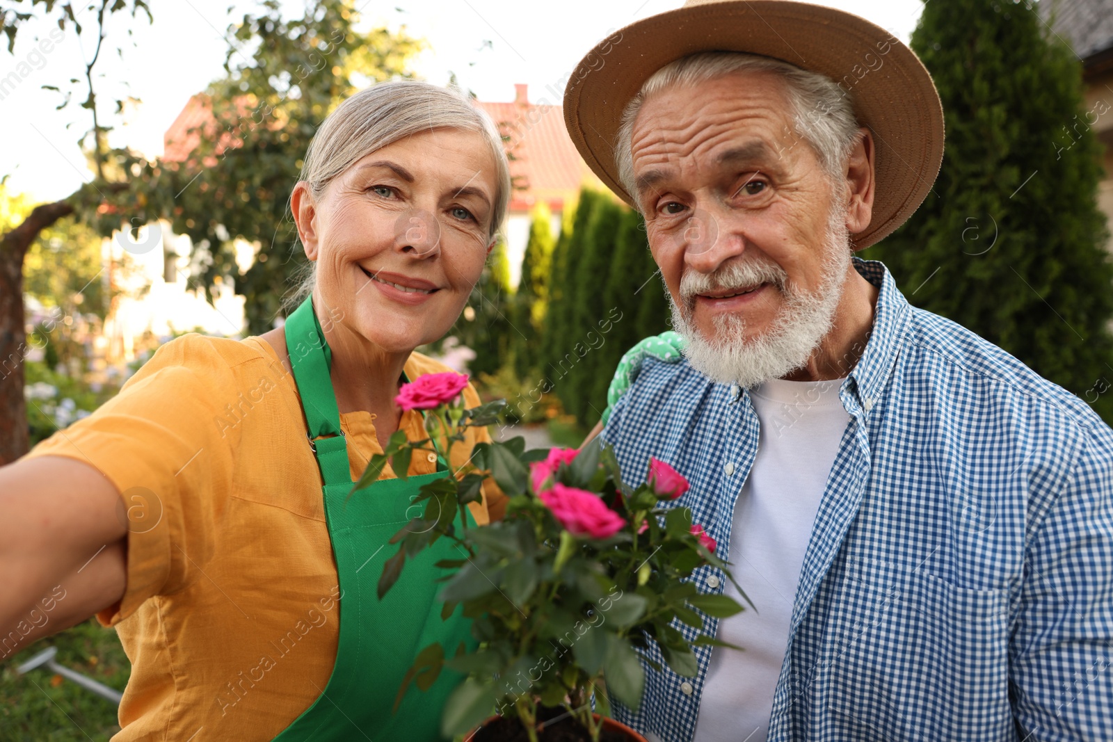 Photo of Happy senior couple with potted plant taking selfie in garden