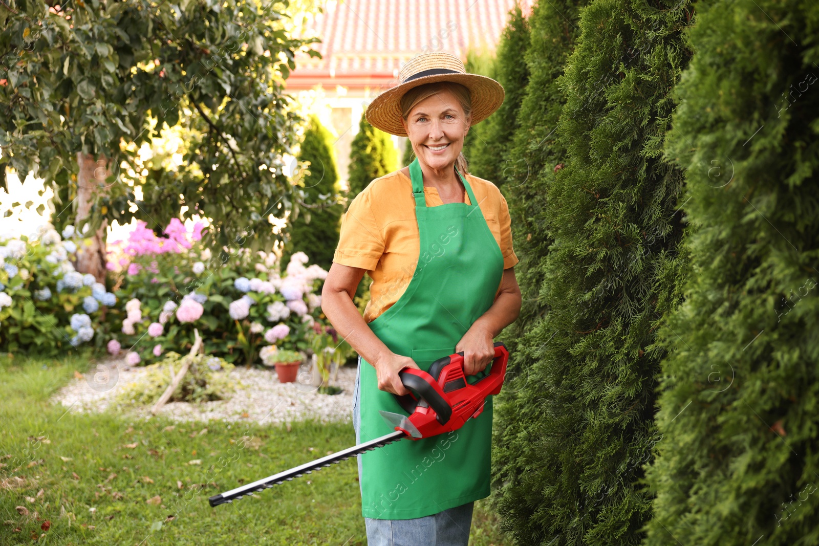 Photo of Smiling senior woman in hat and apron with electrical hedge trimmer in garden