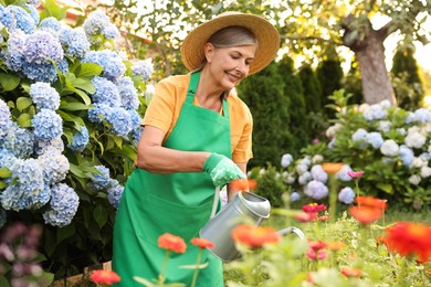 Photo of Smiling senior woman in hat and apron watering beautiful flowers with can in garden
