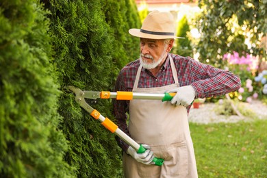 Photo of Elderly man in hat and apron with manual hedge trimmer working in garden