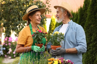 Photo of Happy senior couple in gloves and hats with potted roses in garden