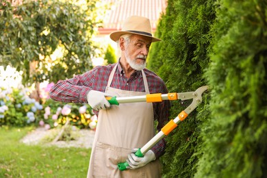 Photo of Elderly man in hat and apron with manual hedge trimmer working in garden