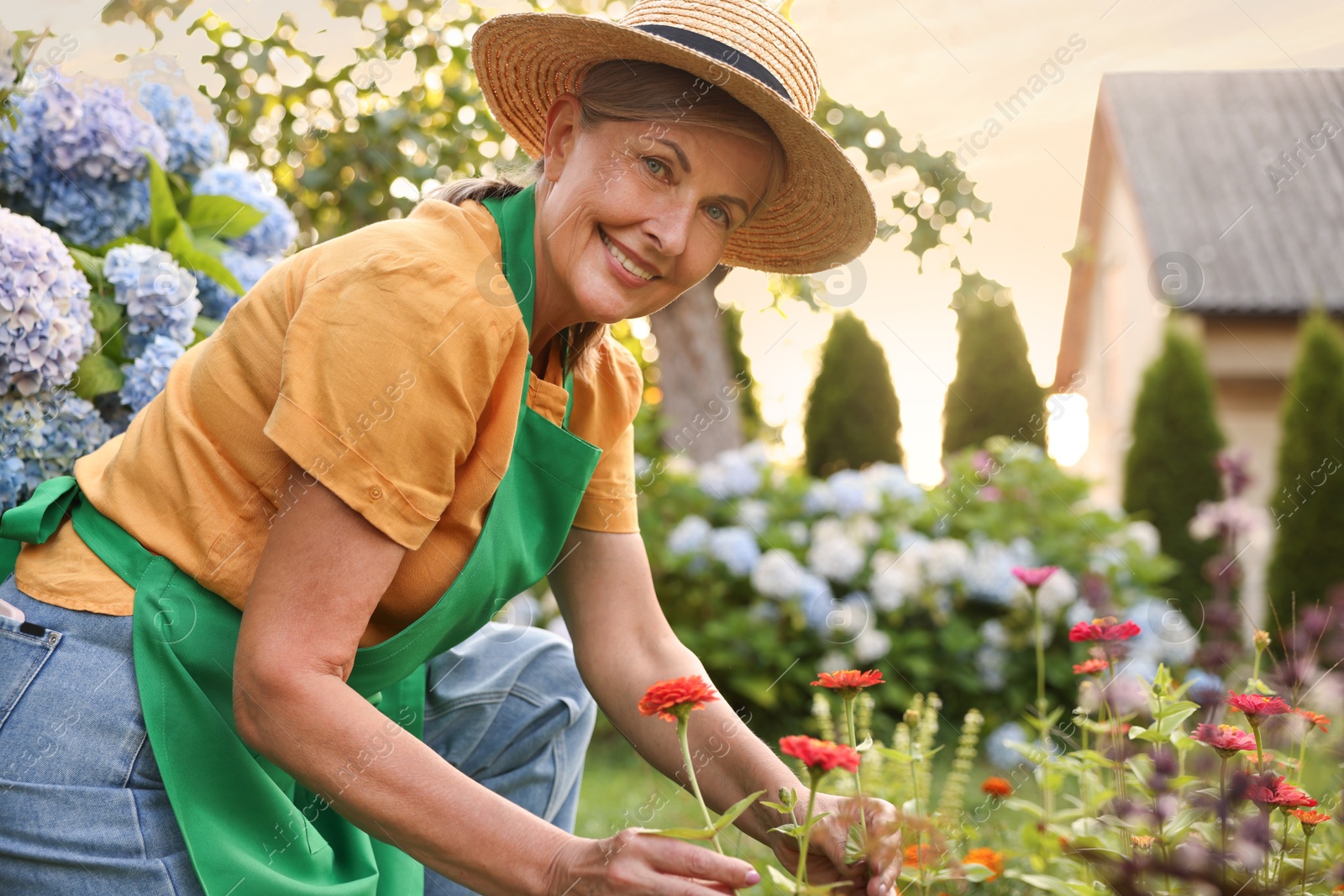 Smiling senior woman in hat and apron in garden Photo of Smiling senior woman in hat and apron in garden