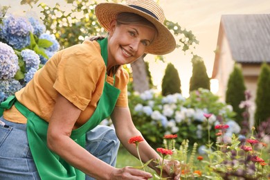 Photo of Smiling senior woman in hat and apron in garden