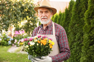 Photo of Elderly man in hat and apron with beautiful potted flowers in garden