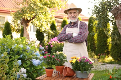 Photo of Elderly man in hat and apron with beautiful potted flowers in garden