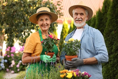 Photo of Happy senior couple in gloves and hats with potted roses in garden