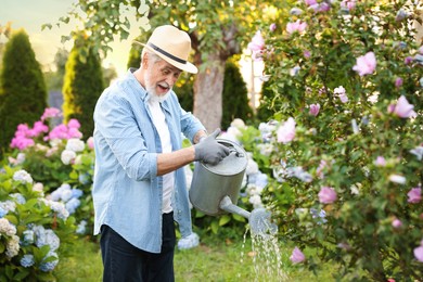 Photo of Elderly man in hat watering beautiful flowers with can in garden