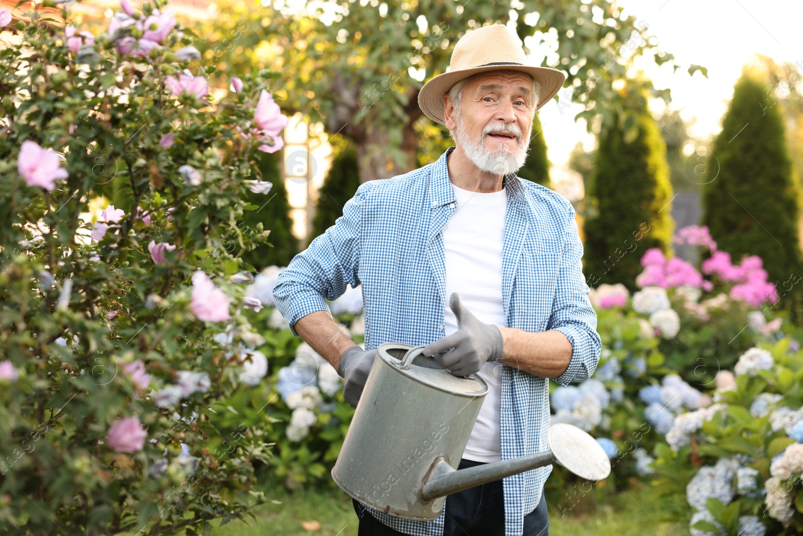 Photo of Elderly man in hat watering beautiful flowers with can in garden