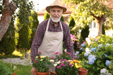Photo of Elderly man in hat and apron with beautiful potted flowers in garden