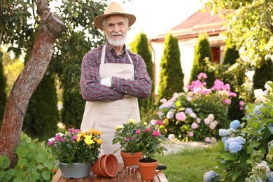 Photo of Elderly man in hat and apron with beautiful potted flowers in garden