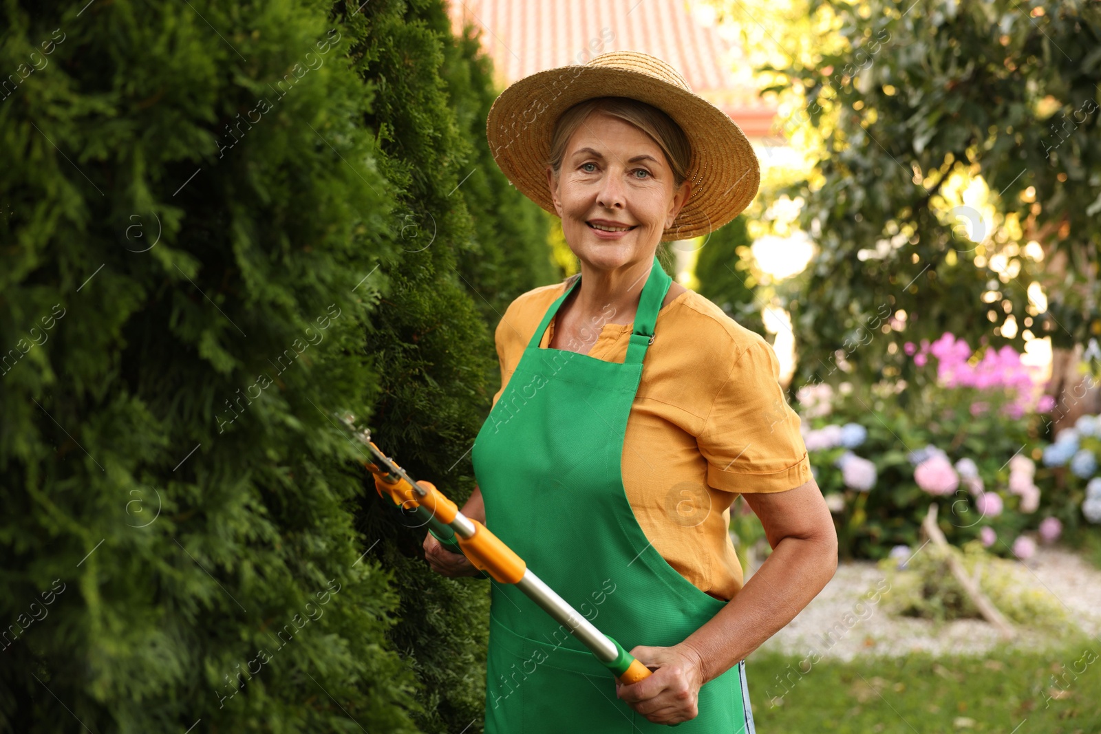 Photo of Senior woman in hat and apron with manual hedge trimmer working in garden