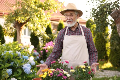 Photo of Elderly man in hat and apron with beautiful flowers in garden