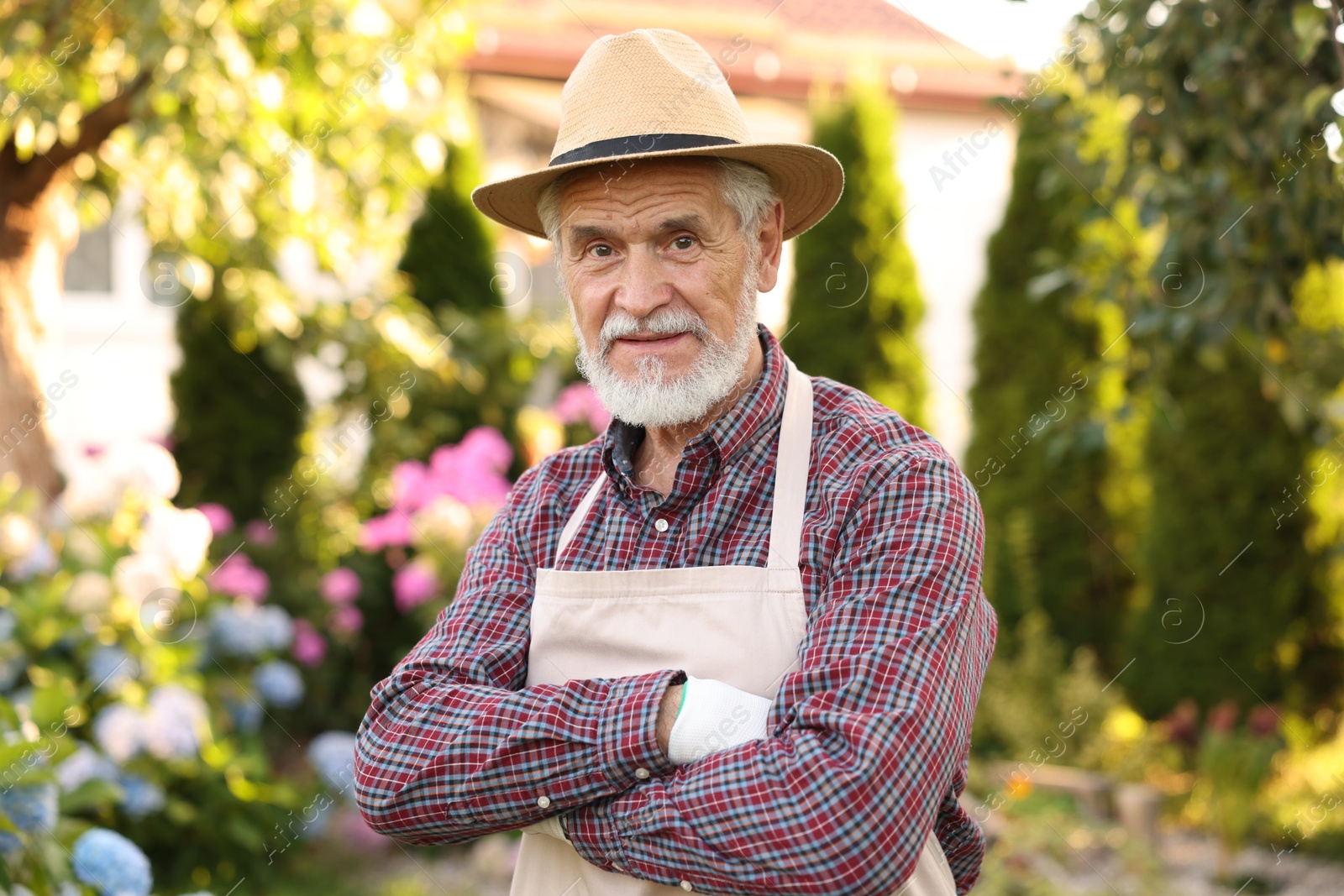 Photo of Portrait of elderly man in hat and apron with crossed arms in garden