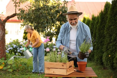 Photo of Senior couple working with plants in garden, selective focus