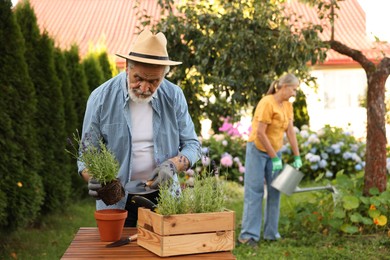 Photo of Senior couple working with plants in garden, selective focus