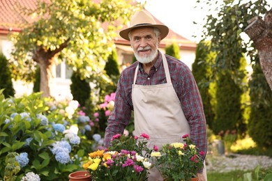 Photo of Smiling elderly man in hat and apron with beautiful flowers in garden
