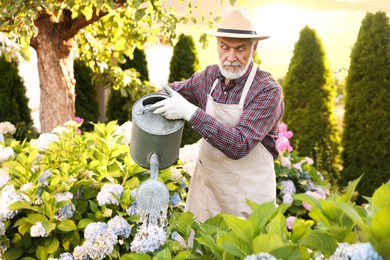 Photo of Elderly man in hat and apron watering beautiful flowers with can in garden
