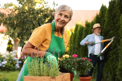 Photo of Senior couple working with plants in garden, selective focus