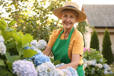 Photo of Portrait of smiling senior woman in hat and apron with flowers in garden